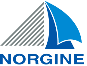 Norgine (Logo)