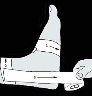 Fot, standardteiping bilde#1