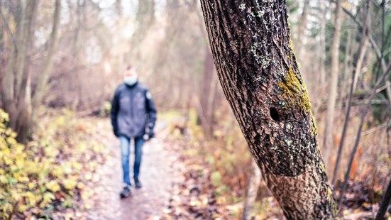 Illustrasjonsfoto viser en person som kommer gående langs en sti i skogen. Personen er ute av fokus.,