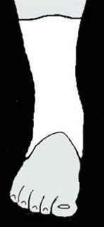 Fot, variasjon av teiping bilde#8