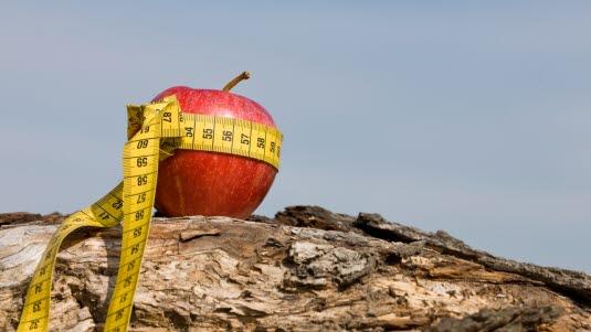 Hvilken slankediett er best