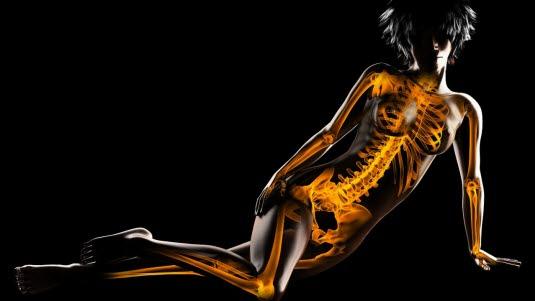 Skjelettet, illustrasjonsbilde